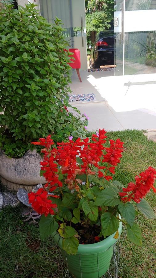 Casal Ostara Begonia Hotel อัลโต ปาไรโซ เด โกยาส ภายนอก รูปภาพ